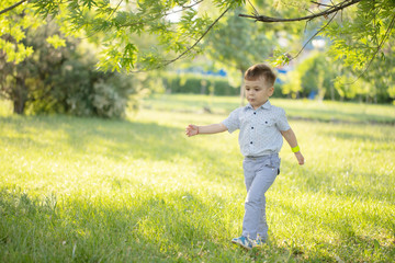 a little boy walking on the grass . Happy child on vacation laughs . boy on nature runs on green...