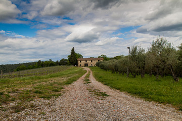 Fototapeta na wymiar ancient Tuscan farm: the tradition of a fantastic land