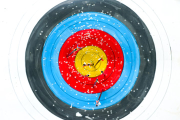 Selective focus on bottom of arrows on archery colorful target