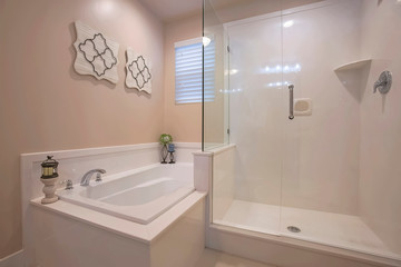 Bathroom interior with a polished built in bathtub and shower stall
