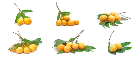 Set of Marian plum with green leaves isolated on white background collection