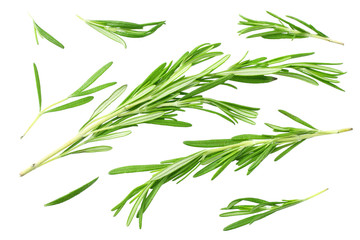 Fototapeta na wymiar rosemary leaves isolated on white background. top view