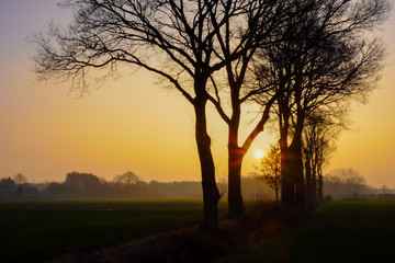 Fototapeta na wymiar Scenic view of farm landscape at sunrise