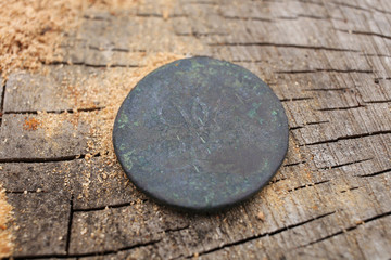 Valuable, ancient copper coin of Tsarist Russia, Romanov dynasty, the era of the reign of Elizabeth Petrovna, daughter of Peter 1. Coin on the surface of an alder wood.