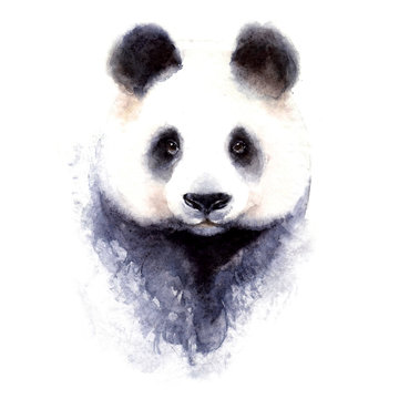 Panda bear watercolor illustration