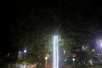 Decorative outdoor string lights hanging on tree in the garden at night 