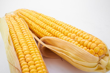 fresh corns on the white background