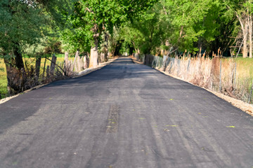 Close up of road amid a grassy terrain and lined with trees and chain link fence