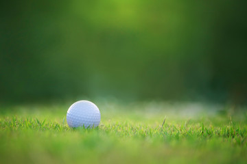 golf ball is on a green lawn in a beautiful golf course