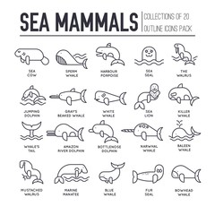 Set of sea mammals thin line icons, pictograms.
