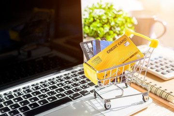 Credit card in Shopping cart with notebook,a pencil,flower pot tree,calculator on wooden background, Online banking Concept,Top view with copy space office table.