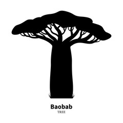 Black baobab tree silhouette - obrazy, fototapety, plakaty