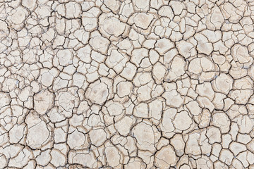 Fototapeta premium Brown dry soil or cracked ground texture background.