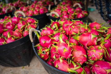 Dragon fruit for sale on the market.