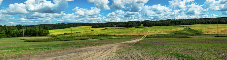 Fototapeta na wymiar panorama of the summer landscape from the field, forest on the edge and clouds