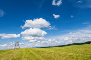 Sommerlandschaft in der Eifel