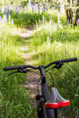 mountain bike on the path through the forest. Travel and cross-country riding