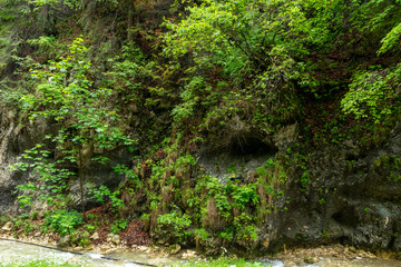 View of cave entrance, Carpathian mountain range