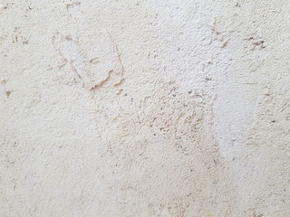 Obraz premium Texture grey concrete wall