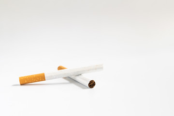Cigarette on the white background