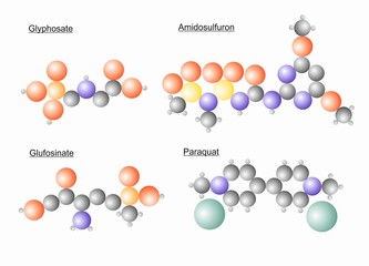 The molecule structure of different herbicide molecules.