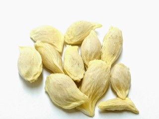 Fototapeta premium A picture of seeds isolated on white background