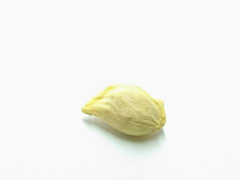 A picture of seed isolated on white background