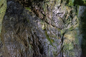 Inside Dambovicioara cave, Piatra Craiului  mountains, Piatra Craiului National ParkInside Dambovicioara cave, Piatra Craiului  mountains, Piatra Craiului National Park