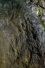 Inside Dambovicioara cave, Piatra Craiului  mountains, Piatra Craiului National ParkInside Dambovicioara cave, Piatra Craiului  mountains, Piatra Craiului National Park