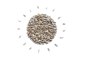 Cleaned sunflower seeds in concept shape of sun
