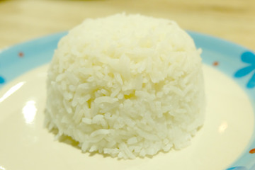 dish full of rice close up