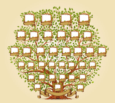 Family Tree template vector illustration
