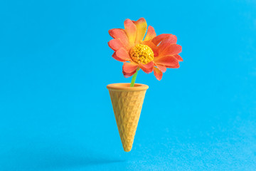Flower in ice cream cone abstract isolated on blue.