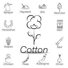 cotton hand draw icon. Element of farming illustration icons. Signs and symbols can be used for web, logo, mobile app, UI, UX