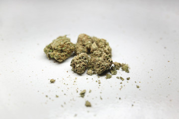 Medical Marijuana weed cannabis buds