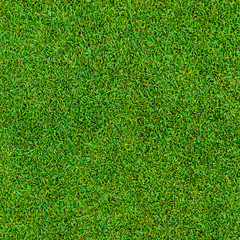 Obraz premium Background and texture of Beautiful green grass pattern from golf course