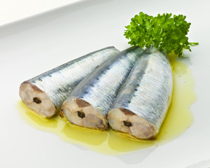 Sardinas en aceite sobre plato blanco. Sardines in oil on white plate.