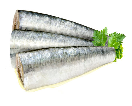 sardinas en conserva con aceite de oliva sobre fondo blanco. canned sardines with olive oil on white background.