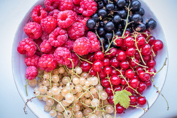Fresh organic homegrown seasonal fruits such as raspberry, redcurrant, blackcurrant and whitecurrant