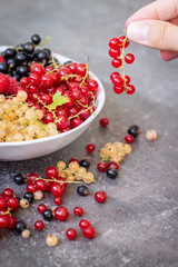 Fresh organic homegrown seasonal fruits such as raspberry, redcurrant, blackcurrant and whitecurrant