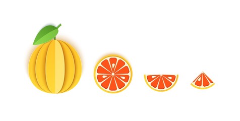 Set of grapefruit sliced paper citrus fruit sliced whole, triangular and round slices, design for any purpose. Summer citrus, juicy food. Vector 3d map illustration. Tropical paper layers of fruit.