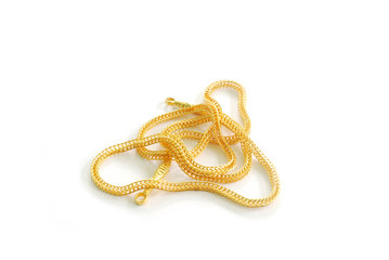 Singer of gold placed on a white background.