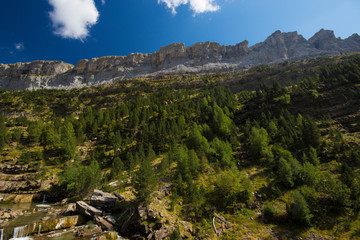 rio y pinos en la montaña