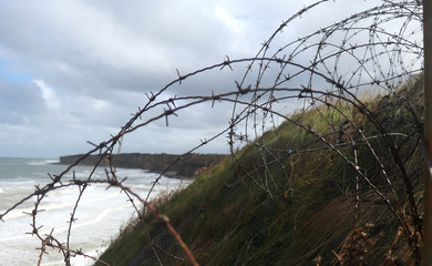 Barbed wire from WWII at Point du Hoc, France