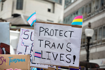 A person holding a sign reading protect trans lives banner - obrazy, fototapety, plakaty