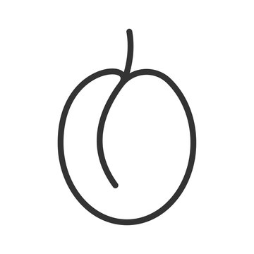 recommend clip art: fresh juicy plum outline ui web icon. plum vector icon for web, mobile and user interface design isolated on white background