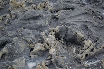 Production of rose salt, salt lakes with algae and mud. It is considered to be the most useful in the world organic plant raw materials for the production of cosmetics, medicines, medical products .