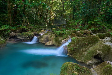 Beautiful pool of water in the Jamaican jungle at Reach Falls