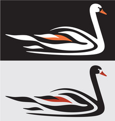 Swan