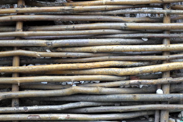 Texture fence of thin branches. Many wooden rods fixed to each other